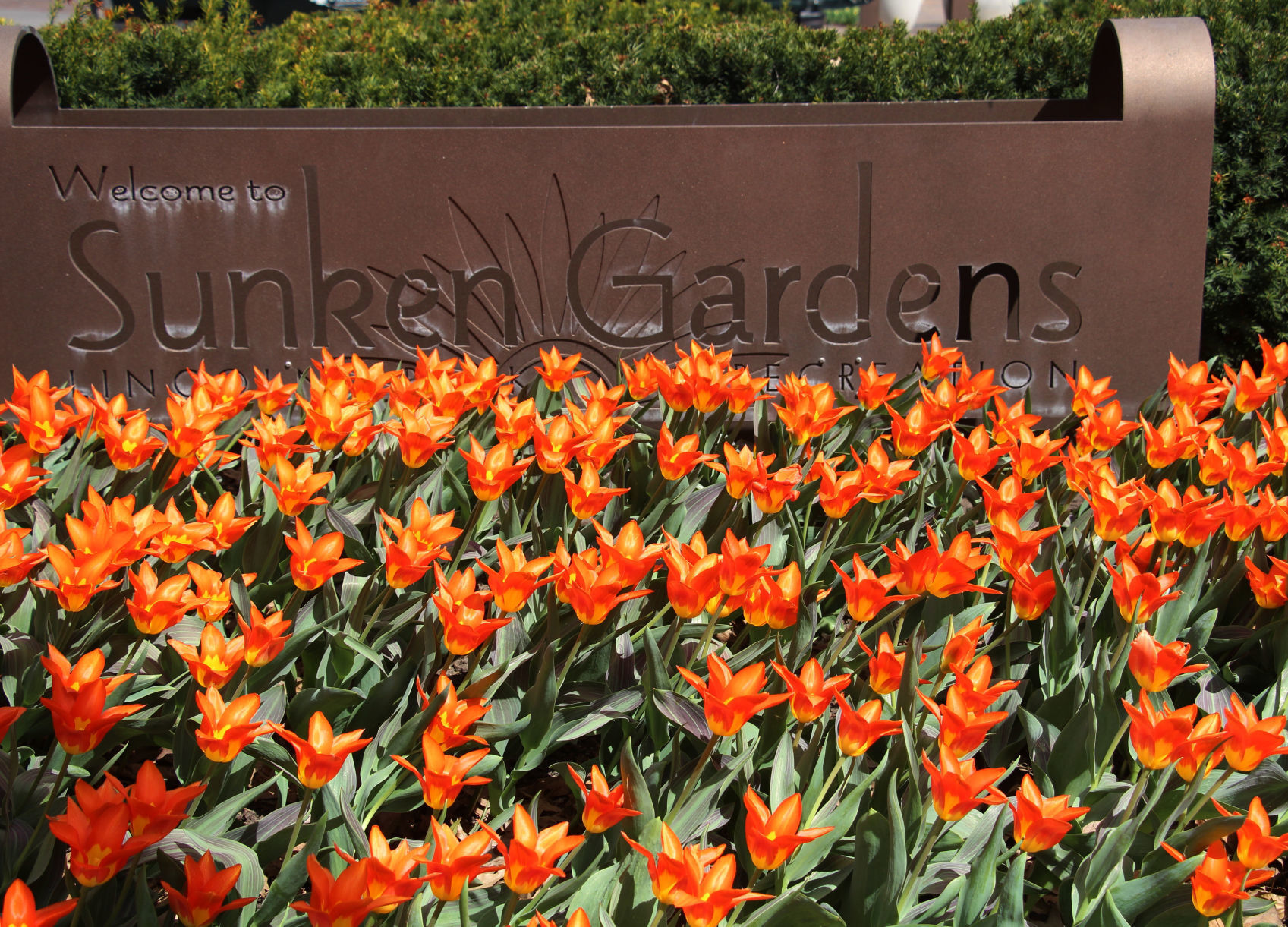 Sunken Gardens 2013